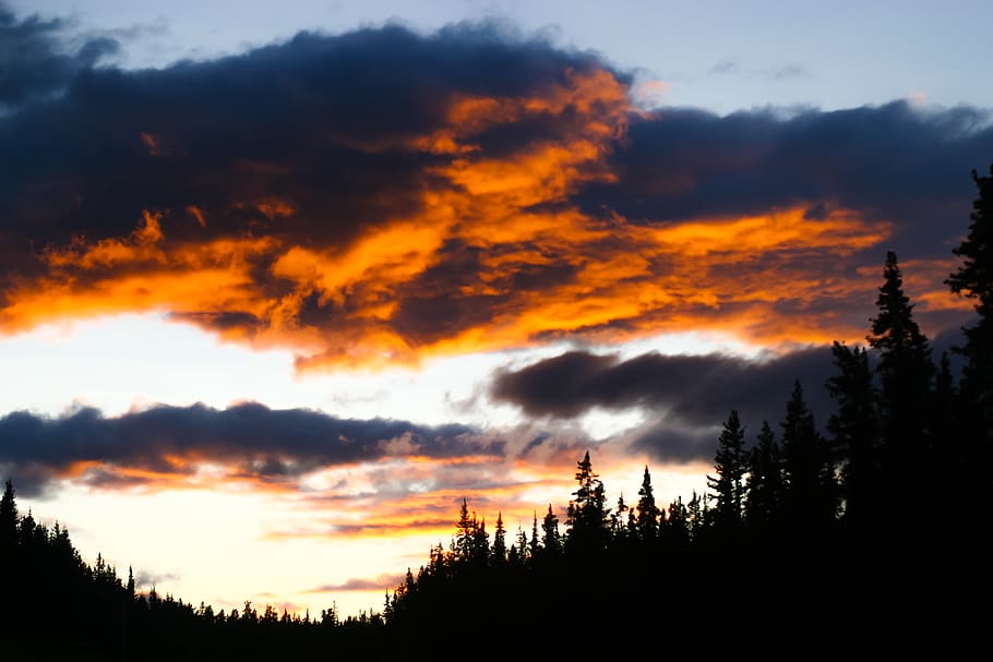 Bäume, Wald, Kanada, Sonnenuntergang, Wolken, Yukon Gebiet, Himmel, Schönheit in der Natur, wolke - himmel, Szenen - Natur, Baum, ruhige Szene, Ruhe, Silhouette, Pflanze, Natur, keine Leute, Nicht-städtische Szene, orange Farbe, idyllisch, Dramatischer Himmel, Umgebung, Scheu, Land, draußen, Kiefer, Nadelbaum, 2K