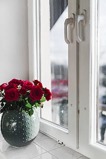 guld kop, kaffe, rød, roser buket, blomster, roser, indre, væsentlige, kop, guld, bøger, indretning, hjem indretning, indendørs, buket, stearinlys, bouqet, blomst, blomstrende plante, vindue, plante, natur, friskhed, glas - materiale, skrøbelighed, ingen mennesker, gennemsigtig, sårbarhed, skønhed i naturen, vase, hjem interiør, vindueskarm, tæt på, fokus på forgrunden, dag, blomsterhoved, blomster arrangement, blomsterkrukke, 5K