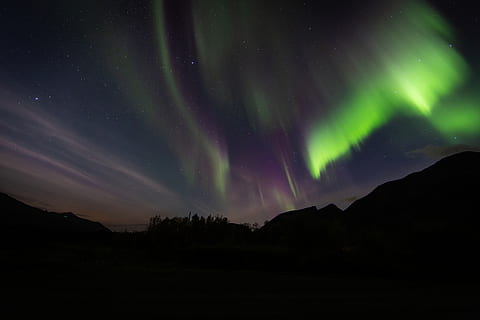 Nordlichter, Natur, draußen, Nacht-, Aurora, Himmel, roter Himmel, Dämmerung, Sonnenuntergang, Nachtleben, Grün, Berg, Sonnenaufgang, Astronomie, sternenklarer Himmel, Platz, Universum, Weltraum, Urwald, Pflanze, Schönheit in der Natur, Szenen - Natur, Ruhe, ruhige Szene, Stern - Raum, Silhouette, idyllisch, Umgebung, keine Leute, grüne Farbe, Star, Nicht-städtische Szene, Landschaft, Sternfeld, majestätisch, Aurora Polaris, Weltraum und Astronomie, Kraft in der Natur, 5K, CC0, gemeinfrei, lizenzfrei