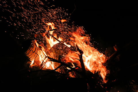fyring af skov, ild, flamme, Exeter, Det Forenede Kongerige, Camping, bål, lejrbål, fritids aktiviteter, mørk, orange, gnist, hed, varme, dyr, hunde, hund, pattedyr, kæledyr, terrier, drage i flammer, varme - temperatur, brænding, brand - naturligt fænomen, nat, log, træ, Brænde, træ - materiale, orange farve, glødende, natur, bevægelse, tæt på, ingen mennesker, udendørs, 5K, CC0, offentligt domæne, royaltyfrie