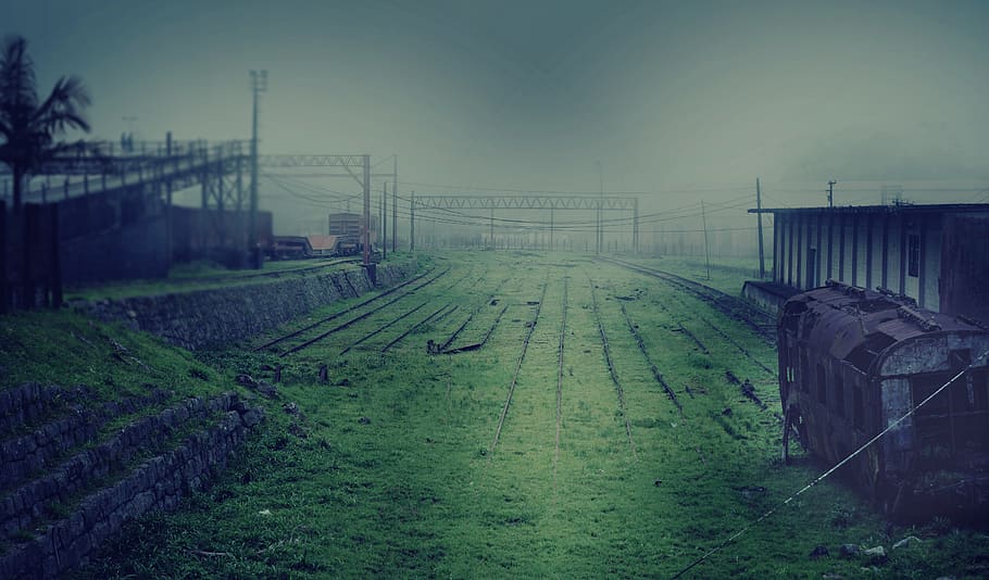 estació, tren, destruït, plataforma, viatjar, arquitectura, ferrocarril, ciutat, urbà, locomotora, abandonat, baranes, fons de pantalla, sobrenatural, post apocalíptic, apocalíptic, èpica, paranapiacaba, centre de la ciutat, Sao Paulo, planta, naturalesa, cel, estructura construïda, terra, herba, color verd, camp, cap gent, paisatge, transport per ferrocarril, transport, a l'aire lliure, escena rural, dia, exterior de l'edifici, pista, 5K