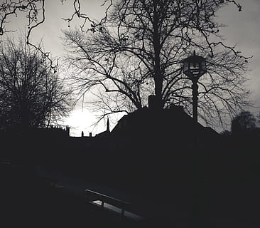 Baum, Ast, Silhouette, Schnee, Winter, Licht, Schwarz und weiß, Pflanze, Himmel, Nebel, Weiß, Morgen, Dämmerung, Abend, Wetter, Dunkelheit, schwarz, einfarbig, Jahreszeit, gestalten, einfarbige Fotografie, atmosphärisches Phänomen, holzige Pflanze, kahler Baum, die Architektur, gebaute Struktur, Natur, Gebäudehülle, draußen, keine Leute, dunkel, Gebäude, Ruhe, Religion, 2K, CC0, gemeinfrei, lizenzfrei