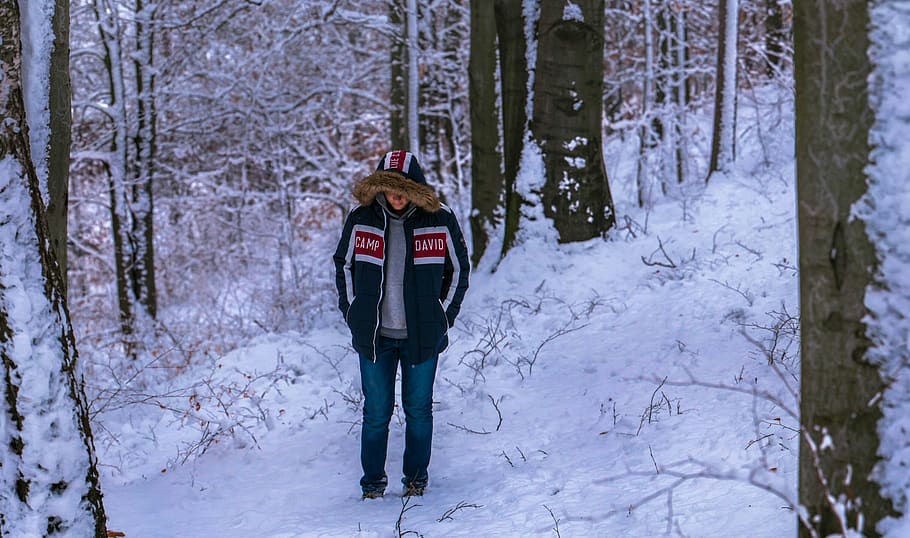 Winter, Wald, Charakter, Winterwald, Schnee, kalte Temperatur, Baum, Land, Pflanze, Baumstamm, Kofferraum, Natur, warme Kleidung, eine Person, Kleidung, Abdeckung, echte Menschen, Freizeitbeschäftigung, Schönheit in der Natur, nicht erkennbare Person, Tag, draußen, 2K