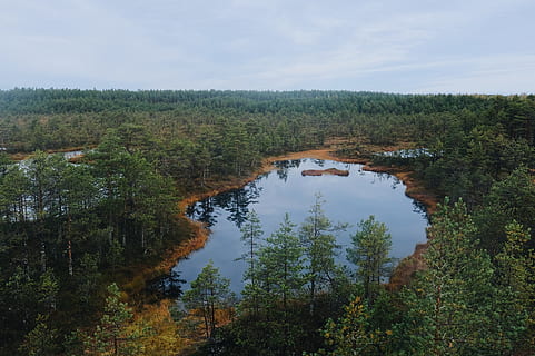 escénico, foto, arboles, junto a, lago, ambiente, bosque, fondo de pantalla hd, idílico, paisaje, naturaleza, pacífico, depósito, agua, árbol, planta, escena tranquila, tranquilidad, belleza en la naturaleza, paisajes - naturaleza, cielo, reflexión, crecimiento, nadie, día, escena no urbana, nube - cielo, tierra, al aire libre, 4K, CC0, dominio público, libre de derechos