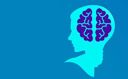 illustration, brain, -, ideas, come, brainstorming., innovation, change, disrupts, business environments, positive, way., mindset, programmer, machine learning, mind, think, technology, smart, intelligent, education, people, human head, creative, abstract, business concept, design, face, genius, idea, intelligence, woman, modern, person, silhouette, symbol, , blue, human body part, copy space, colored background, creativity, body part, studio shot, communication, blue background, men, contemplation, business, cut out, human face, 2K
