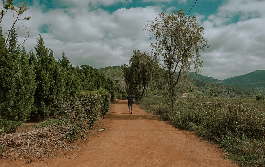 persona, negre, roba, al costat, arbres, herba, núvols, la llum del dia, medi ambient, orientació, turó, paisatge, muntanya, naturalesa, carretera, escènic, cel, sòl, estiu, núvol - cel, planta, arbre, bellesa a la natura, persones reals, creixement, dia, escenics - natura, caminar, una persona, tranquil·litat, escena tranquil·la, activitat d'oci, terra, estils de vida, escena no urbana, a l'aire lliure, 4K