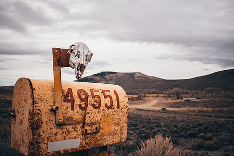 brown, black, wooden, wall decor, close-up, clouds, daylight, dry, environment, grass, growth, landscape, mailbox, mountain, mountain peak, nature, sand, scenery, scenic, skull, sky, soil, trees, unpaved pathway, yellow, text, communication, cloud - sky, western script, rusty, no people, sign, weathered, day, number, metal, old, non-western script, land, focus on foreground, information, outdoors, 5K, CC0, public domain, royalty free