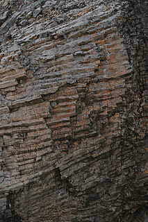 brun grotte, tekstureret, fuld ramme, baggrunde, ru, mønster, træ, naturligt mønster, tæt på, ingen mennesker, natur, dag, træstamme, bagagerum, plantebark, udendørs, træ - materiale, plante, Brun, bark, solid, tekstureret effekt, eroderet, lagdelt, 8K, CC0, offentligt domæne, royaltyfrie