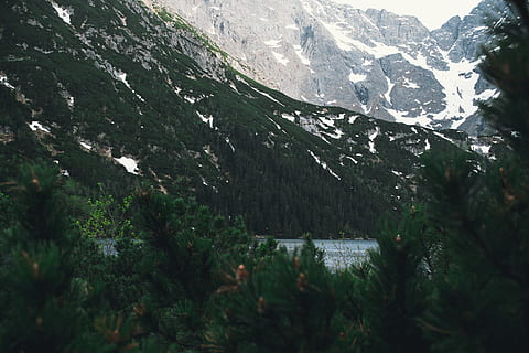 Montagne, les montagnes, des arbres, arbre, sapin, Lac, la taille, hauteur1600, neige, printemps, Pologne, Voyage, zakopane, закопане, Польща, Подорож, Morskie Oko, photo, la nature, monde, beauté dans la nature, plante, température froide, hiver, paysages - nature, croissance, journée, scène tranquille, personne, tranquillité, environnement, scène non urbaine, chaîne de montagnes, région sauvage, en plein air, montagne au sommet enneigé, sommet de la montagne, 4K, CC0, domaine public, libre de droits