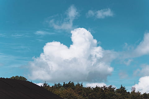 skyer, formularer, tal, træer, bjerg, himmel, Sky, dag, Skov, tapeter, sky - himmel, træ, natur, skønhed i naturen, blå, plante, landskab, scenics - natur, ingen mennesker, miljø, ro, ikke-urbane scene, lav vinkel visning, udendørs, rolig scene, jord, idyllisk, fyrreskov, meteorologi, 5K, CC0, offentligt domæne, royaltyfrie