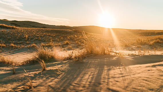 l'herbe des dunes de sable, la nature, en plein air, lumière, éclater, lumière du soleil, ciel, sol, lever du soleil, Soleil, le sable, route, paysage, crépuscule, le coucher du soleil, ciel rouge, Aube, prairie, champ, désert, reflet, environnement, plante, beauté dans la nature, paysages - nature, tranquillité, rayon de soleil, scène tranquille, terre, personne, scène non urbaine, herbe, Montagne, brillant, 5K, CC0, domaine public, libre de droits