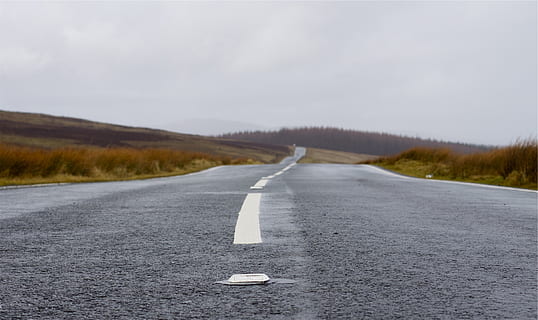 road, pavement, cloudy, direction, the way forward, sky, non-urban scene, road marking, marking, no people, transportation, nature, symbol, empty road, beauty in nature, day, scenics - nature, asphalt, sign, tranquility, tranquil scene, landscape, diminishing perspective, outdoors, dividing line, 2K, CC0, public domain, royalty free