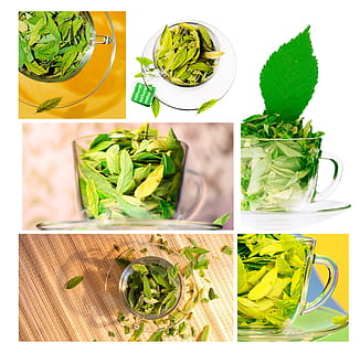 sfondo, bar, bellissimo, bevanda, avvicinamento, collage, concetto, creatività, tazza, curva, stoviglie, bere, fitness, flora, cibo, fresco, freschezza, bicchiere, verde, Salute, salutare, erba, erbaceo, idee, isolato, foglia, boccale, naturale, natura, nuovo, nutrizione, oggetto, biologico, modello, piatto, purezza, rinfresco, rilassamento, piattino, brillante, etichetta, estate, simbolo, gusto, tè, bustina di the, trasparente, svegliare, cibo e bevande, mangiare sano, verdura, colore verde, composito digitale, benessere, pasta, natura morta, nessuno, lattuga, parte vegetale, scelta, ortaggio a foglia, cibo italiano, immagine composita, foglia di menta - culinaria, 1080P, CC0, dominio pubblico, privo di copyright