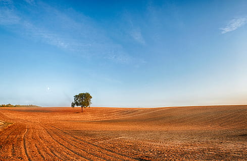 paesaggio, i campi, cresta, arabile, albero, cielo, nuvole, natura, ambiente, terra, pianta, campo, scenics - natura, scena rurale, orizzonte, orizzonte sopra terra, la tranquillità, nuvola - cielo, bellezza nella natura, blu, agricoltura, scena tranquilla, nessuno, skyline urbano, all'aperto, 5K, CC0, dominio pubblico, privo di copyright