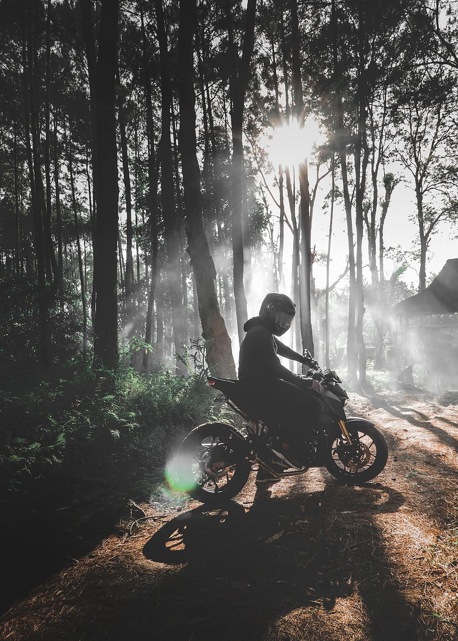 yogyakarta, java, indonèsia, poble, al matí, passeig al matí, passeig, moto, bicicleta, motor, arbre, bosc, terra, una persona, naturalesa, llum solar, planta, raig de sol, persones reals, dia, estils de vida, transport, longitud completa, activitat d'oci, a l'aire lliure, tronc de l'arbre, tronc, assegut, flare de la lent, 4K