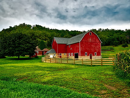 red barn, barn, clouds, corn, corn field, country, crops, farm, farmhouse, fence, grass, landscape, meadow, nature, scenic, trees, plant, built structure, architecture, cloud - sky, sky, tree, building exterior, land, field, green color, building, day, no people, house, beauty in nature, environment, agricultural building, outdoors, 1080P, CC0, public domain, royalty free
