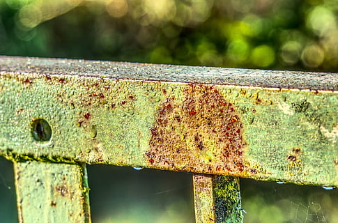rugini, fier, balustradă, vechi, pod, parapet, oţel, ruginite, ruginit, erodate, textură, structura, coroziune, metal, hdr, gamă dinamică mare, contrast, să se concentreze asupra primelor elemente, zi, nici o persoana, a închide, mușchi, natură, Culoarea verde, lemn - material, în aer liber, texturată, deteriorat, abandonat, apă, lumina soarelui, plantă, 5K, CC0, domeniu public, fără drepturi de autor