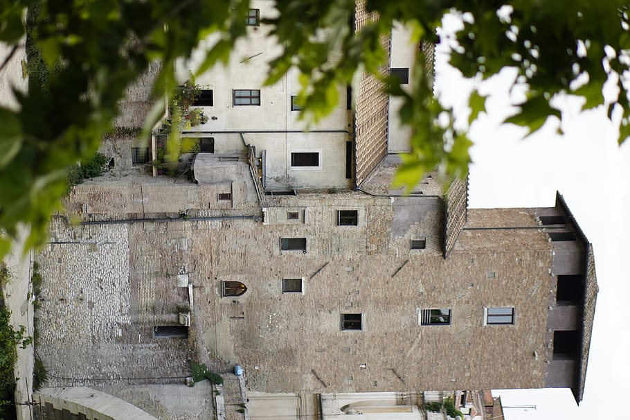 Roma, edifici, arquitectura, estructura construïda, exterior de l'edifici, planta, arbre, dia, cap gent, casa, barri residencial, naturalesa, a l'aire lliure, ciutat, finestra, història, centrar-se en primer pla, el passat, vell, espatllat, llum solar, 4K