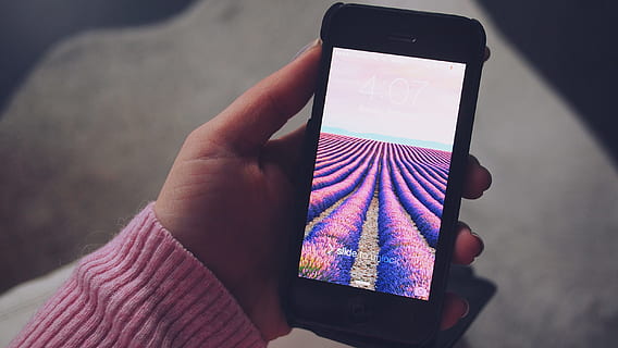 iphone, screen, mobile, technology, cell, hand, wireless technology, connection, human hand, communication, holding, smart phone, portable information device, human body part, one person, mobile phone, close-up, touch screen, real people, midsection, activity, device screen, warm clothing, finger, 2K, CC0, public domain, royalty free