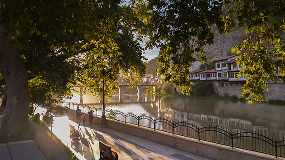 tree, leaves, leaf, bridge, river, riverside, turkey, nature, architecture, houses, water, plant, built structure, building exterior, no people, reflection, day, building, transportation, growth, sky, railing, outdoors, sunlight, residential district, passenger craft, 4K, CC0, public domain, royalty free