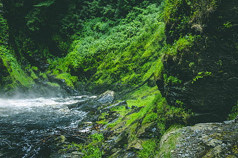 river, surrounded, mountain, cascade, daylight, environment, flow, forest, green, HD wallpaper, landscape, moss, nature, nature wallpaper, rainforest, rock, scenic, stream, summer, trees, wallpaper, water, tree, plant, beauty in nature, scenics - nature, green color, growth, flowing water, land, waterfall, motion, solid, no people, rock - object, lush foliage, foliage, flowing, outdoors, stream - flowing water, falling water, 4K, CC0, public domain, royalty free