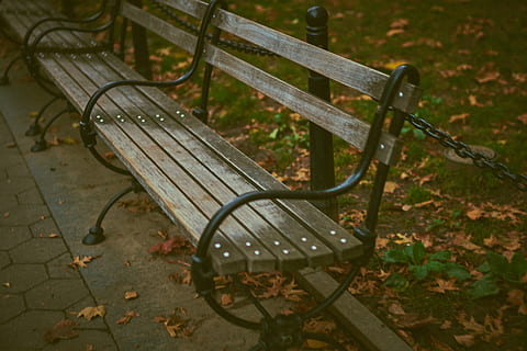 Sitzbänke, Bank, Ketten, Tageslicht, leeren, Umgebung, Zaun, Garten, Gras, Grün, Wachstum, Landschaft, Park, Parkbank, hölzern, Sitz, Abwesenheit, Natur, keine Leute, Park - menschgemachter Raum, Tag, Metall, High Angle View, Blatt, Pflanze, Pflanzenteil, Holz - Material, Herbst, draußen, Fokus auf den Vordergrund, Veränderung, 5K, CC0, gemeinfrei, lizenzfrei