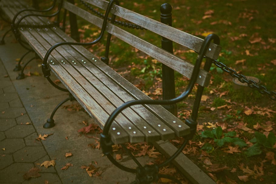 seients de banc, banc, cadenes, la llum del dia, buit, medi ambient, tanca, jardí, herba, verd, creixement, paisatge, parc, Banc del parc, fusta, seient, absència, naturalesa, cap gent, parc - l'home va fer espai, dia, metall, vista d’angle alt, full, planta, part de la planta, material de fusta, tardor, a l'aire lliure, centrar-se en primer pla, canvi, 5K