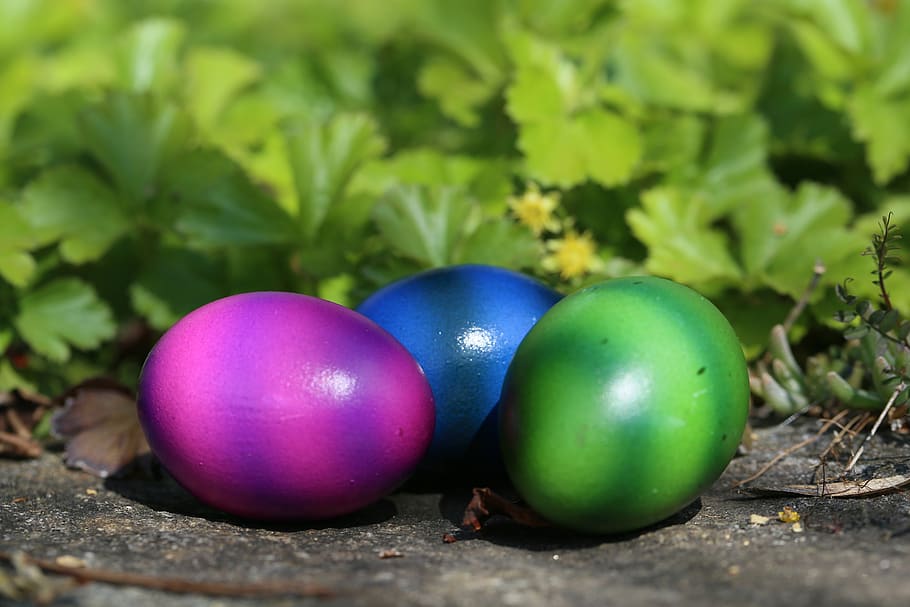 Ostern, Ostereier, bunt, farbig, Frühling, Osternest, Lebensmittel, Essen und Trinken, grüne Farbe, Nahansicht, Frische, gesundes Essen, Wohlbefinden, keine Leute, Natur, Pflanze, Stillleben, Obst, Blau, Tag, Fokus auf den Vordergrund, draußen, Feier, Ei, selektiver Fokus, lila, 5K