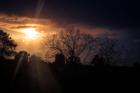 silueta, arbres, daurat, hores, retroil·luminat, bonic, núvols, fosc, foscor, alba, tarda, bosc, paisatge, llum, naturalesa, cel, sol, posta de sol, temps, arbre, bellesa a la natura, llum solar, planta, raig de sol, núvol - cel, tranquil·litat, escena tranquil·la, escenics - natura, arbre nu, cap gent, medi ambient, color taronja, a l'aire lliure, flare de la lent, brillant, 4K