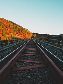rotaie del treno, rotaia, mezzi di trasporto, rotaie, ferrovia, Germania, Willingen, strada sterrata, strada, ghiaia, direzione, la strada davanti, trasporto ferroviario, cielo, traccia, prospettiva decrescente, natura, nessuno, cielo sereno, punto di fuga, autunno, albero, pianta, modificare, bellezza nella natura, ambiente, giorno, all'aperto, parallelo, lungo, 4K, CC0, dominio pubblico, privo di copyright