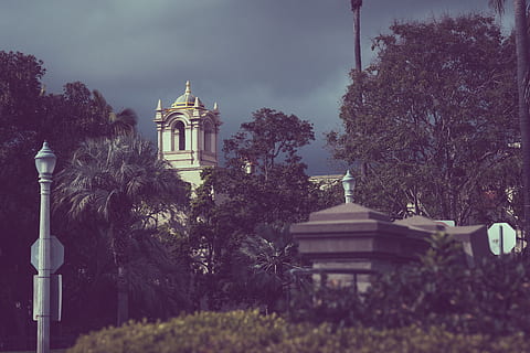 árboles de hojas verdes, edificio, aguja, torre, arquitectura, campanario, san diego ca, Estados Unidos, parque balboa, tumba, planta, lluvia, triste, oscuro, nublado, melancólico, lluvioso, arboles, verdor, parque, balboa, árbol, exterior del edificio, estructura construida, creencia, religión, espiritualidad, lugar de adoración, cielo, naturaleza, nadie, día, luz de la calle, al aire libre, equipo de iluminación, 5K, CC0, dominio público, libre de derechos