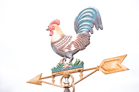 strumento multicolore di gallo, pollame, pollo, animale, uccello, uccello del gallo, Gallo, banderuola, simbolo, freccia, rastrello, dodo, gallina, Angry Birds, Cupido, accessorio, Accessori, pesce, gioielli, temi animali, bestiame, pollo - uccello, vertebrato, animali domestici, nessuno, girato in studio, animale maschio, natura, cielo sereno, mammifero, Inquadratura dal basso, in casa, domestico, sfondo bianco, gruppo di animali, 5K, CC0, dominio pubblico, privo di copyright