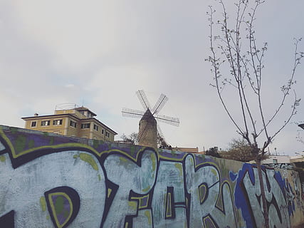 Španělsko, majorca, stavba, architektura, nebe, exteriér budovy, sdělení, Příroda, nízký úhel pohledu, nikdo, graffiti, den, budova, text, venku, nástěnný prvek, západní skript, tvořivost, umění a řemesla, mrak - nebe, strom, rostlina, 4K, CC0, veřejná doména, bez autorských práv