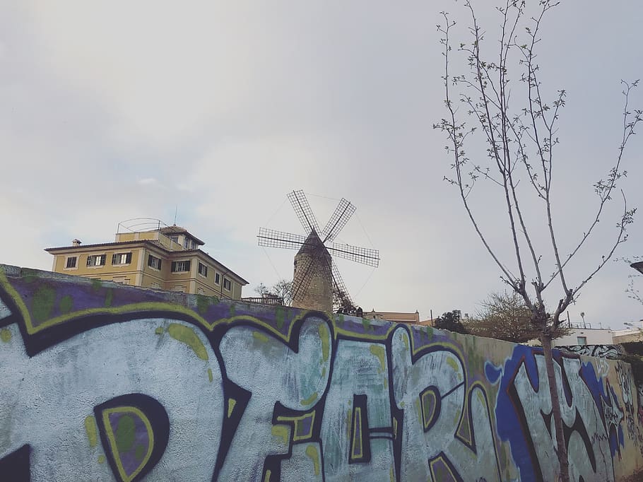 Španělsko, majorca, stavba, architektura, nebe, exteriér budovy, sdělení, Příroda, nízký úhel pohledu, nikdo, graffiti, den, budova, text, venku, nástěnný prvek, západní skript, tvořivost, umění a řemesla, mrak - nebe, strom, rostlina, 4K