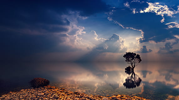 reflektieren, Foto, Bäume, Karosserie, Wasser, Blau, Wolke, Sonne, Baum, wolke - himmel, Himmel, Natur, Szenen - Natur, Schönheit in der Natur, Ruhe, Sonnenuntergang, keine Leute, ruhige Szene, Dramatischer Himmel, Meer, Land, Wolkengebilde, Pflanze, Reflexion, draußen, Horizont, Horizont über Wasser, 4K, CC0, gemeinfrei, lizenzfrei