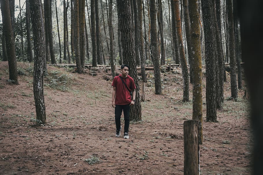 uomo, circondare, alberi, natura, foresta, bosco, pianta, terra, all'aperto, vegetazione, albero, boschetto, umano, persona, giungla, tronco d'albero, moda, viaggio, pista, sentiero, capi di abbigliamento, tronco, persone reali, una persona, attività di svago, lunghezza intera, stili di vita, retrovisore, bellezza nella natura, in piedi, abbigliamento casual, a piedi, giorno, 5K