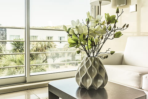 ventana, florero, dentro de la casa, dentro, contemporáneo, habitación, mueble, casa, inconformista, vaso, familia, apartamento, sofá, planta de casa, casa cor, planta, adentro, mesa, interior de la casa, flor, naturaleza, planta floreciendo, material de vidrio, día, nadie, transparente, decoración, frescura, belleza en la naturaleza, de cerca, cabeza de flor, moderno, arreglo floral, mesa de café, 5K, CC0, dominio público, libre de derechos