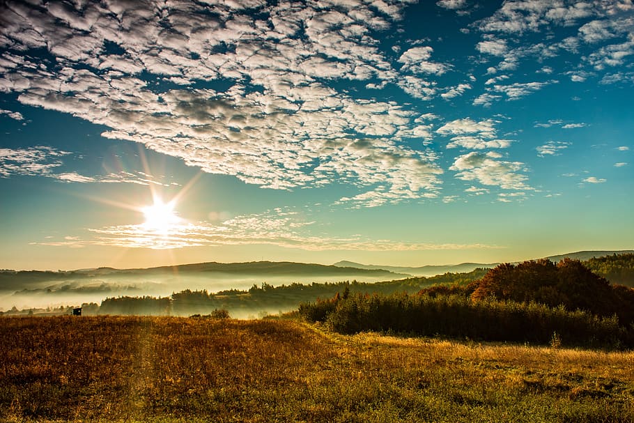 soarele, cer, nori, peisaj, natură, Est, dimineața, copac, dispozitie, orizontul, toamnă, culoare, însorit, ceata, frumusețe în natură, o scenă liniștită, liniște, scenice - natura, mediu inconjurator, lumina soarelui, nor - cer, soare, plantă, apus de soare, teren, camp, rază de soare, lentila flacara, scenă non-urbană, nici o persoana, în aer liber, luminos, 5K
