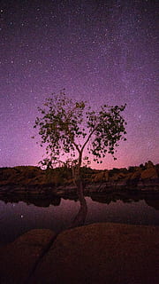 verd, arbre, al costat, cos, aigua, fons de pantalla, fons, reflexió, estrella, fotografia nocturna, Watson Lake, arizona, Rei lleó, vida salvatge, nit estrellada, cel porpra, estrella - espai, astronomia, galàxia, nit, Via Làctea, constel · lació, naturalesa, nebulosa, cel, paisatge, espai, fosc, planeta - espai, lluna, ciència, camp estel·lar, bosc, blau, forma d'estrella, escenics, meteorit, bellesa a la natura, a l'aire lliure, vespre, estel, llum - fenomen natural, muntanya, silueta, astrologia, escena tranquil·la, cap gent, 5K, CC0, domini públic, lliure de regalies