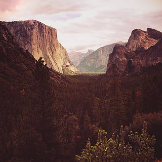 Berg und Bäume, Berg, Baum, Schatten, Wald, draußen, Landschaft, Horizont, Rock, Natur, Wolke, Tal, Sonne, Nationalpark, Aussicht, warm, Rückfall, szenen, Rock - Objekt, Sonnenuntergang, Schönheit in der Natur, Himmel, Reise, Gipfel, Herbst, Vereinigte Staaten von Amerika, Hügel, Sommer-, keine Leute, Sonnenlicht, Cliff, Sonnenaufgang - Morgendämmerung, Schlucht, extremes Gelände, Gebirge, ländliche Szene, Wandern, nationales Wahrzeichen, Wildnisgebiet, Morgen, Pflanze, Blau, rot, 1080P, CC0, gemeinfrei, lizenzfrei