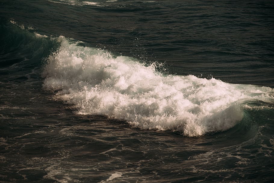 ocean, mare, valuri, apă, mişcare, val, sportiv, sport acvatic, malul mării, surfing, zi, frumusețe în natură, natură, bălăceală, putere, putere în natură, în aer liber, vedere în unghi mare, graba, mișcare încețoșată, apă curgătoare, 5K