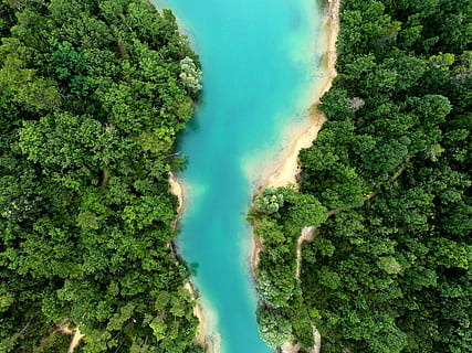 tubuh, air, bidang hutan, sungai, hutan, pohon, top down, udara, hijau, biru, côte d'azur, Selatan, Perancis, var, kuning, pasir, danau, alam, musim panas, pemandangan, di luar rumah, tampak atas, warna hijau, keindahan di alam, air terjun, laut, pulau, perjalanan, iklim tropis, lingkungan Hidup, pariwisata, menanam, hari, liburan, tampilan sudut tinggi, 4K, CC0, domain publik, bebas royalti