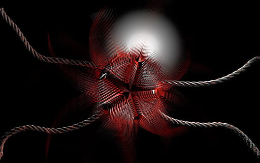 abstrakcyjny, tło, obcy, zabójca, dekoracja, ornament, kolor, twórczy, wzór, Tapeta, ilustracja, czarne tło, studio strzał, czerwony, zbliżenie, tematy zwierzęce, żadnych ludzi, jedno zwierzę, wewnątrz, zwierzę, zwierzęca przyroda, kruchość, teksturowane, zwierzęta na wolności, wrażliwość, ekstremalne zbliżenie, strunowy, pojedynczy obiekt, pełna ramka, 2K, CC0, domena publiczna, darmowe zdjęcia