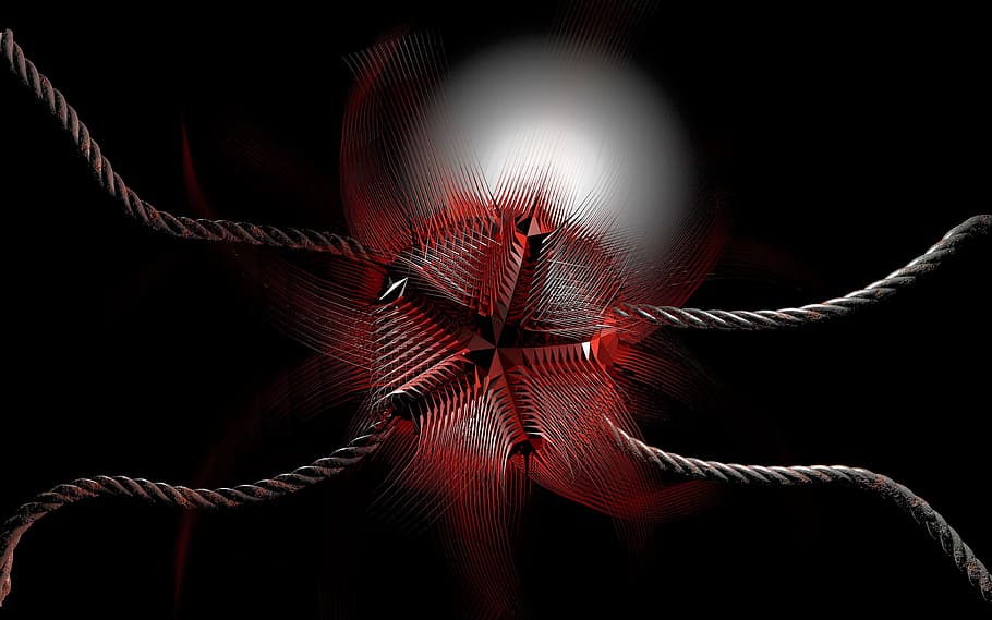 abstrakcyjny, tło, obcy, zabójca, dekoracja, ornament, kolor, twórczy, wzór, Tapeta, ilustracja, czarne tło, studio strzał, czerwony, zbliżenie, tematy zwierzęce, żadnych ludzi, jedno zwierzę, wewnątrz, zwierzę, zwierzęca przyroda, kruchość, teksturowane, zwierzęta na wolności, wrażliwość, ekstremalne zbliżenie, strunowy, pojedynczy obiekt, pełna ramka, 2K