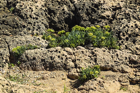 struttura, meteorite, sfondo, roccia, nero, naturale, pietra, minerale, metallo, natura, vecchio, superficie, astratto, Materiale, grigio, ruvido, granito, acciaio, avvicinamento, screpolato, spazio, all'aperto, verdura, piante, terra, crescita, roccia - oggetto, solido, pianta, giorno, nessuno, la tranquillità, formazione rocciosa, bellezza nella natura, luce del sole, strutturato, colore verde, scenics - natura, fotogramma intero, campo, eroso, clima arido, 2K, CC0, dominio pubblico, privo di copyright