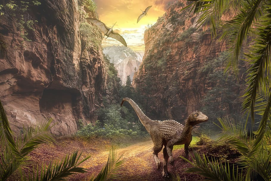 krajina, hora, nebe, mraky, Příroda, dinosaury, strom, zvíře, zvířat, rostlina, zvířata ve volné přírodě, obratlovců, jednoho zvířete, savec, nikdo, den, krása v přírodě, stojící, přistát, kufr, kmen stromu, venku, býložravý, 5K