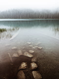 fotografia de paisagem, arvores, corpo, agua, cercado, nevoeiros, árvore, floresta, nuvem, névoa, nebuloso, Rocha, grama, enevoado, reflexão, natureza, panorama, sereno, calma, ainda, raso, parque provincial, montanha, lago, ao ar livre, scenics, cena tranquila, rio, azul, céu, ninguém, beleza na natureza, verão, cena não urbana, dia, área selvagem, superfície da água, Rússia, Canadá, viagem, borda da água, 4K, CC0, domínio público, royalty free