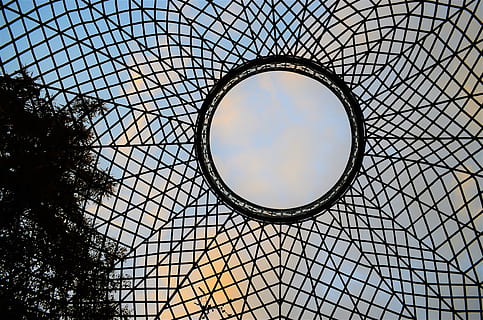 castillo, potsdam, ventana, árbol, cielo, nubes, techo, vista de ángulo bajo, diseño, modelo, forma geometrica, forma, arquitectura, estructura construida, circulo, nadie, día, claraboya, directamente debajo, Hazme, naturaleza, material de vidrio, exterior del edificio, luz del sol, al aire libre, vaso, cúpula, 4K, CC0, dominio público, libre de derechos