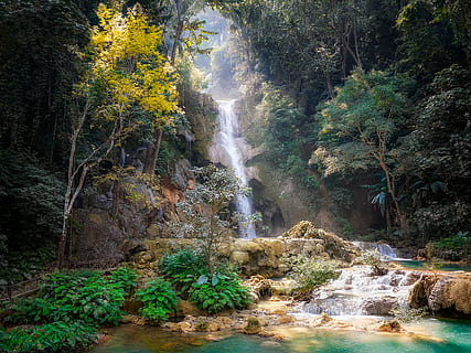 Foto von Wasserfällen, Kaskade, Umgebung, Wald, idyllisch, Laos, Luang Prabang, Natur, Regenwald, szenisch, Strom, Bäume, Wasserfälle, Baum, Pflanze, Schönheit in der Natur, Wasser, Szenen - Natur, fließendes Wasser, Land, Langzeitbelichtung, Bewegung, Wasserfall, Wachstum, keine Leute, Nicht-städtische Szene, Ruhe, Rock, Tag, Rock - Objekt, fließend, draußen, fallendes Wasser, Kraft in der Natur, 4K, CC0, gemeinfrei, lizenzfrei