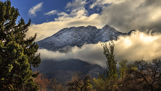 verd, arbres, muntanya, blanc, núvols, migdia, ennuvolat, la llum del dia, bosc, alt, paisatge, cim de muntanya, naturalesa, escènic, cel, boscos, arbre, núvol - cel, planta, bellesa a la natura, escenics - natura, escena tranquil·la, tranquil·litat, cap gent, escena no urbana, medi ambient, Serra, idíl·lic, dia, boira, majestuós, remot, a l'aire lliure, muntanya nevada, arbre de coníferes, 4K, CC0, domini públic, lliure de regalies